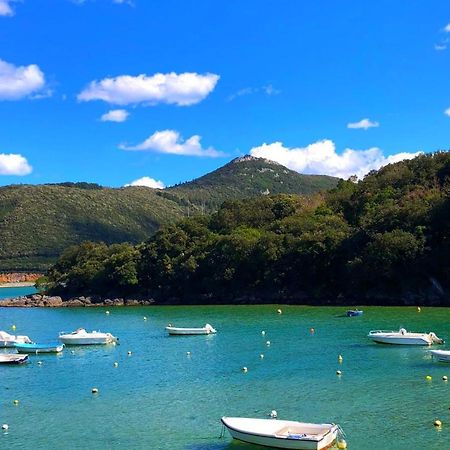 Apartament Sokaire De Urdaibai Junto A Mundaka Sukarrieta Zewnętrze zdjęcie